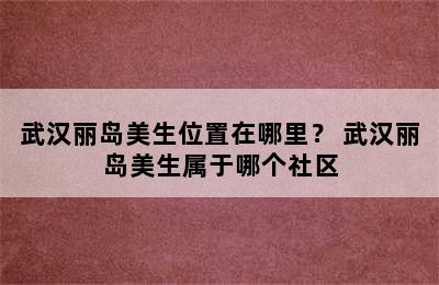 武汉丽岛美生位置在哪里？ 武汉丽岛美生属于哪个社区